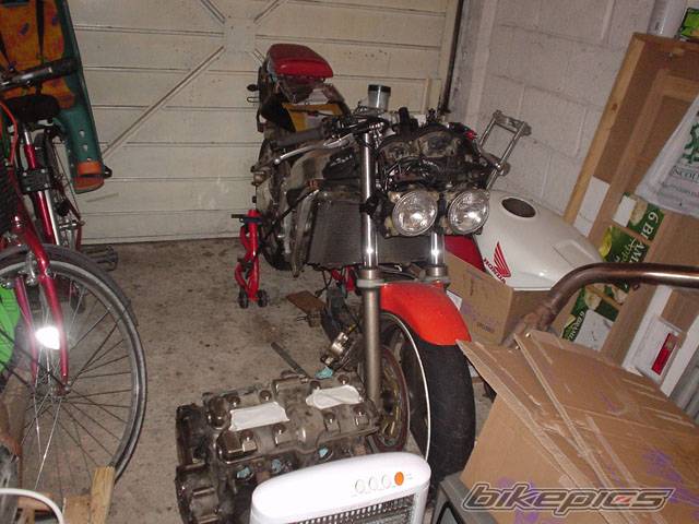 Photo 294805