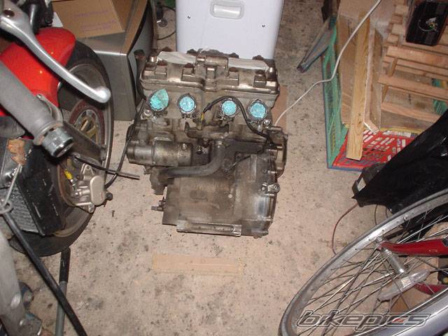 Photo 294806