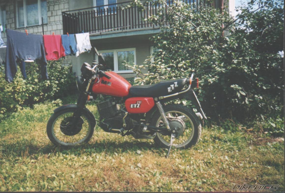 Photo 294821