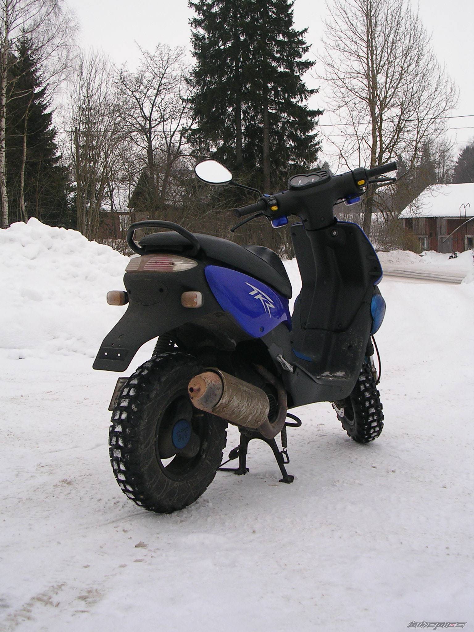 Photo 294839