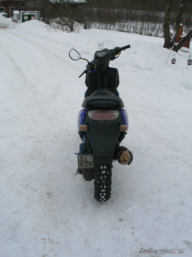 Photo 294849