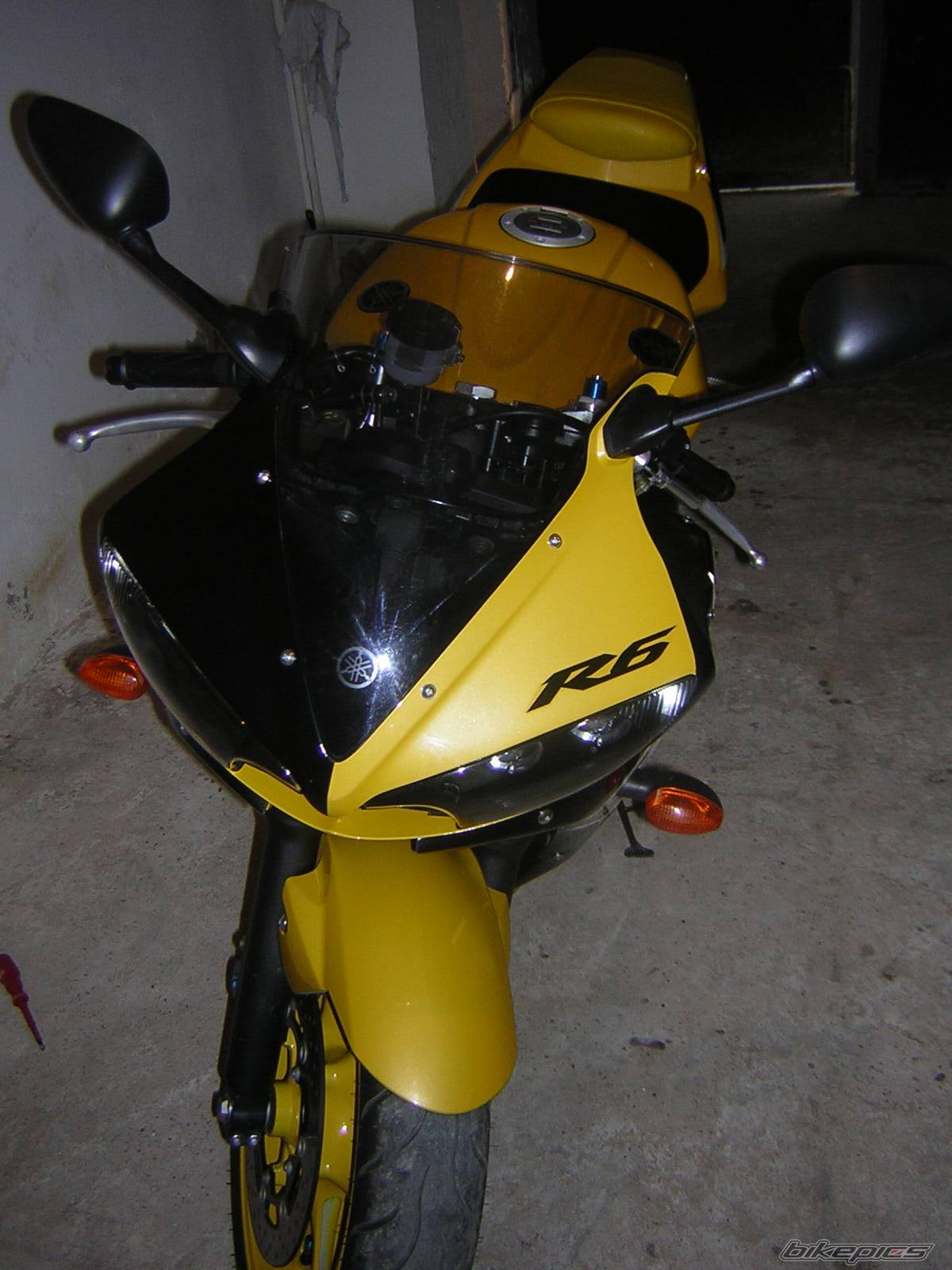 Photo 294868