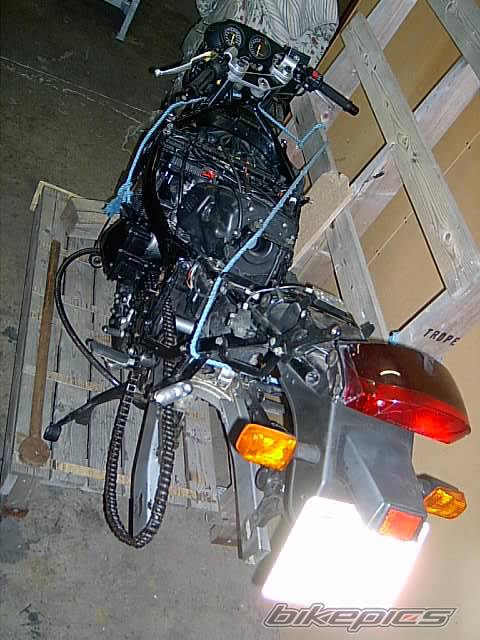 Photo 294889