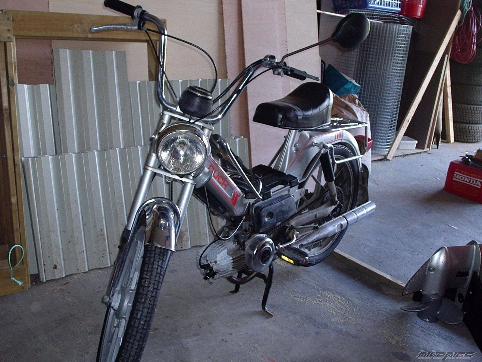 Photo 294919