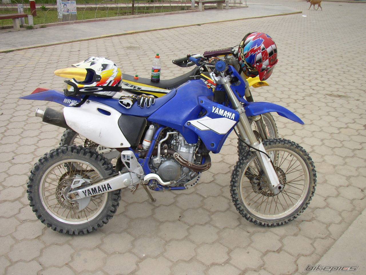 Bike Photo 294930