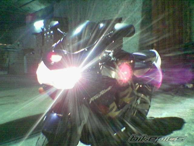 Photo 294990