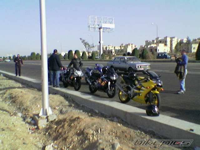 Photo 294991