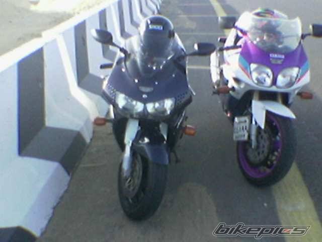 Photo 294992