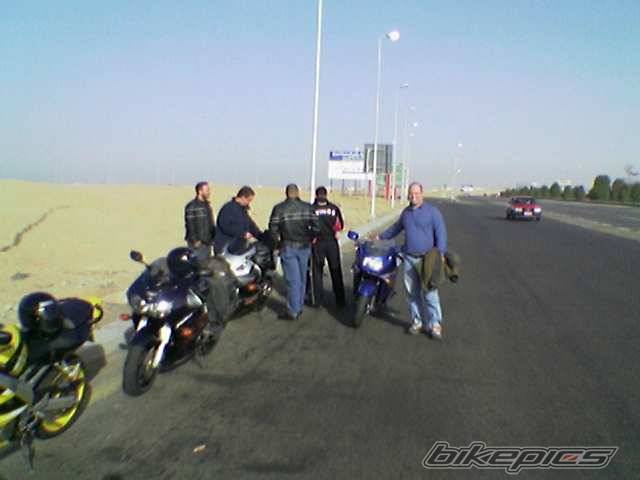 Photo 294993