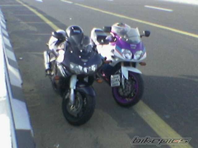 Photo 294994