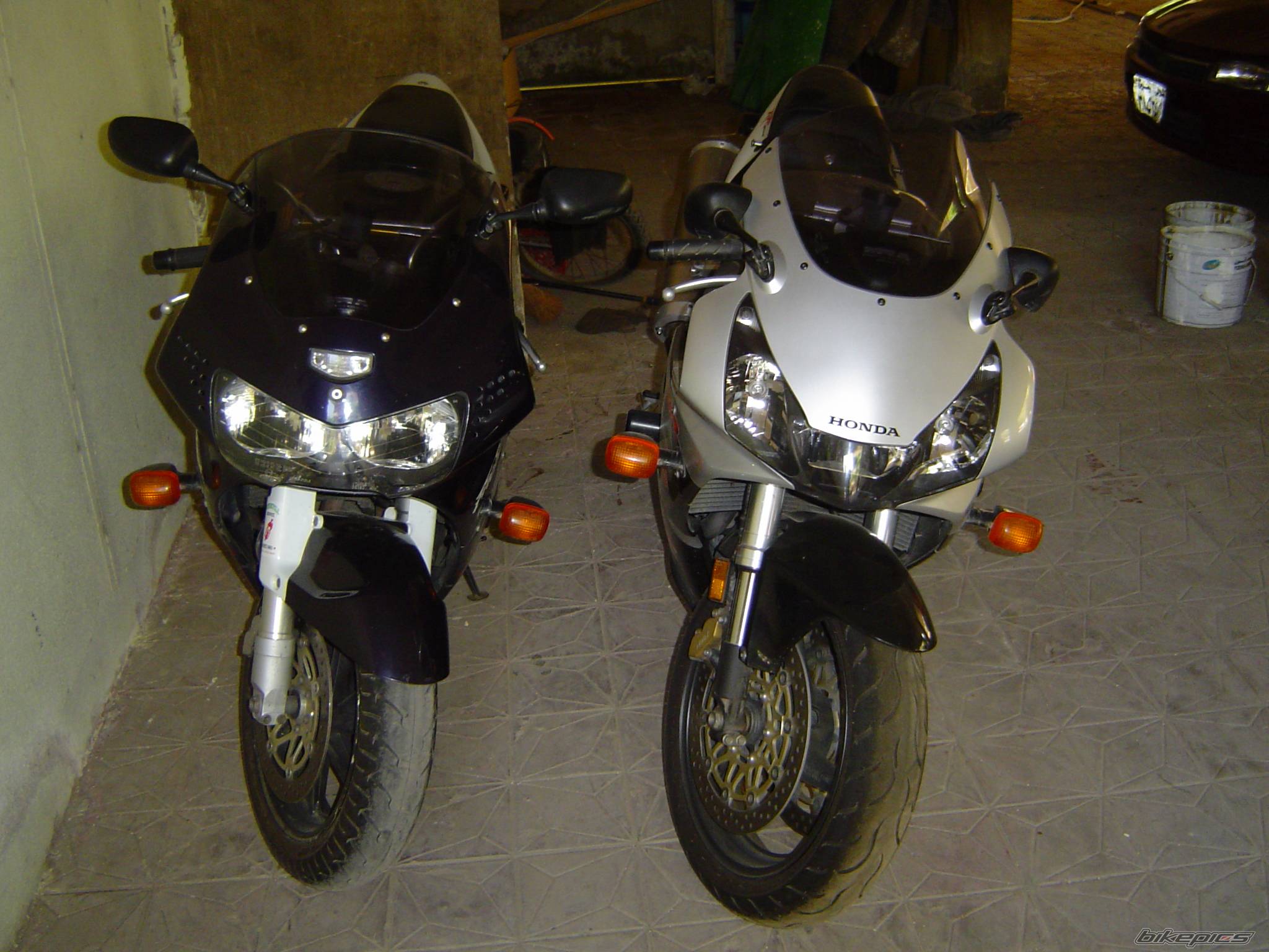 Photo 294995