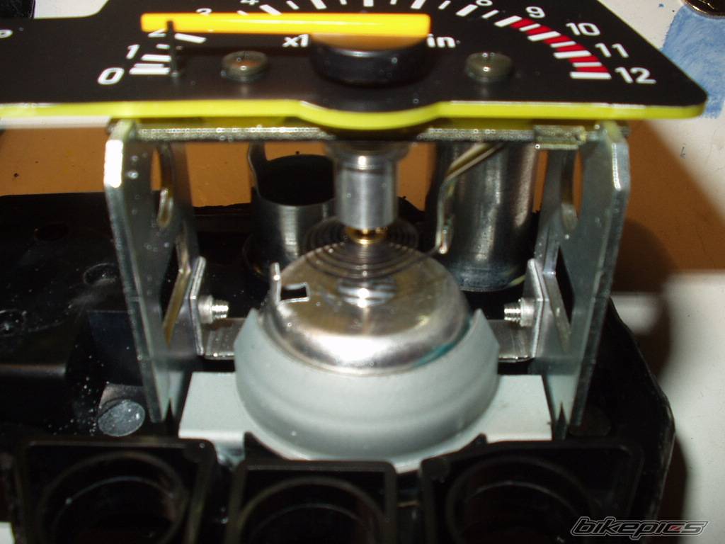 Photo 295061