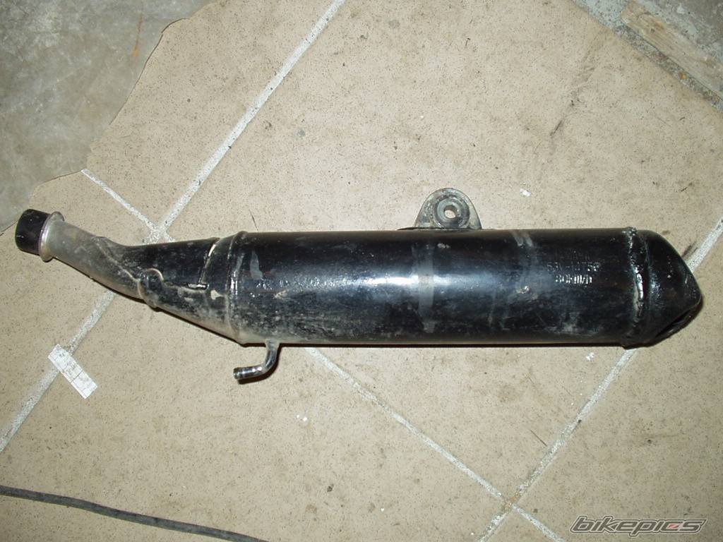 Photo 295068