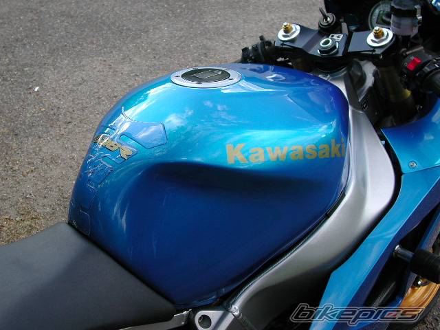 Photo 295087