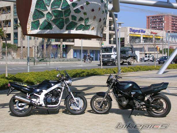 Photo 295109