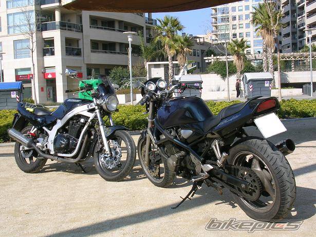 Photo 295110