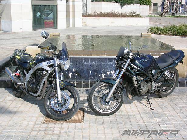 Photo 295112