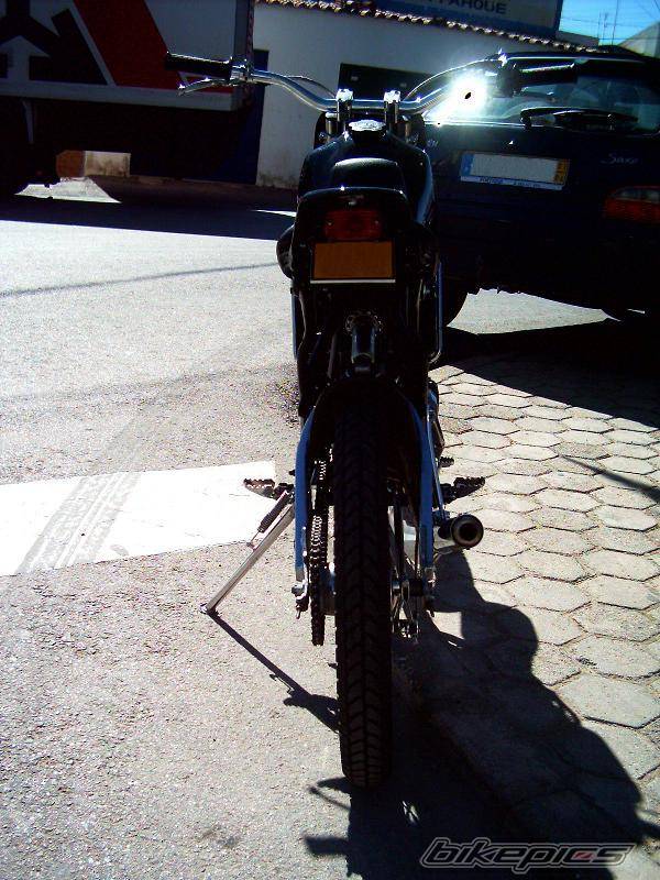 Photo 295133