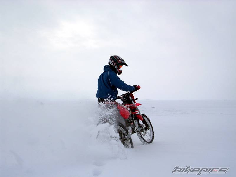 Photo 295142