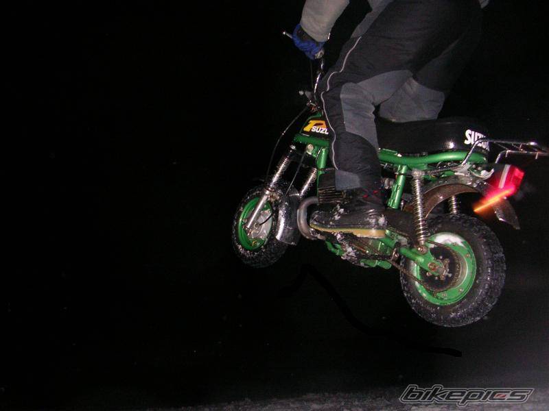 Photo 295160