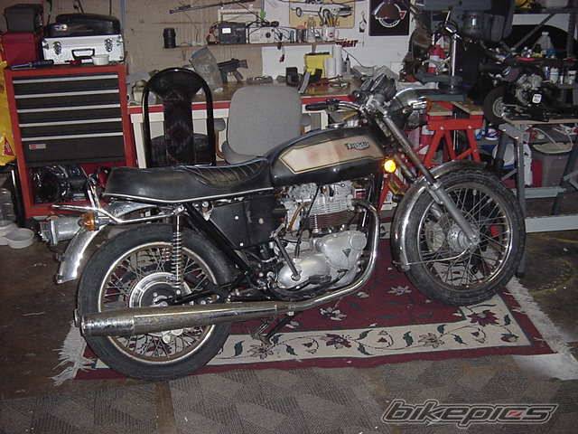 Photo 295169