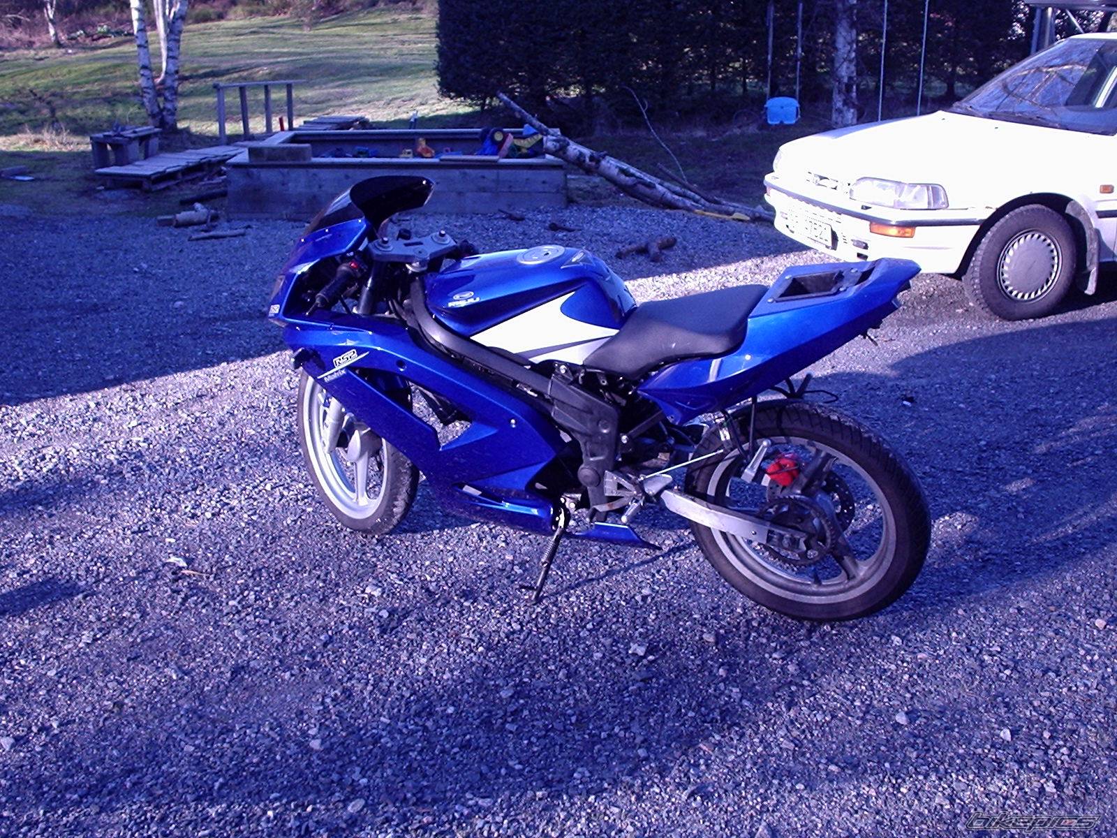 Photo 295199