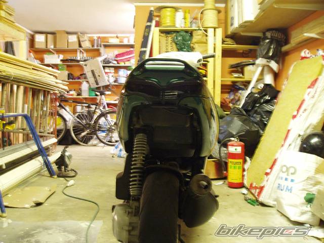 Photo 295231