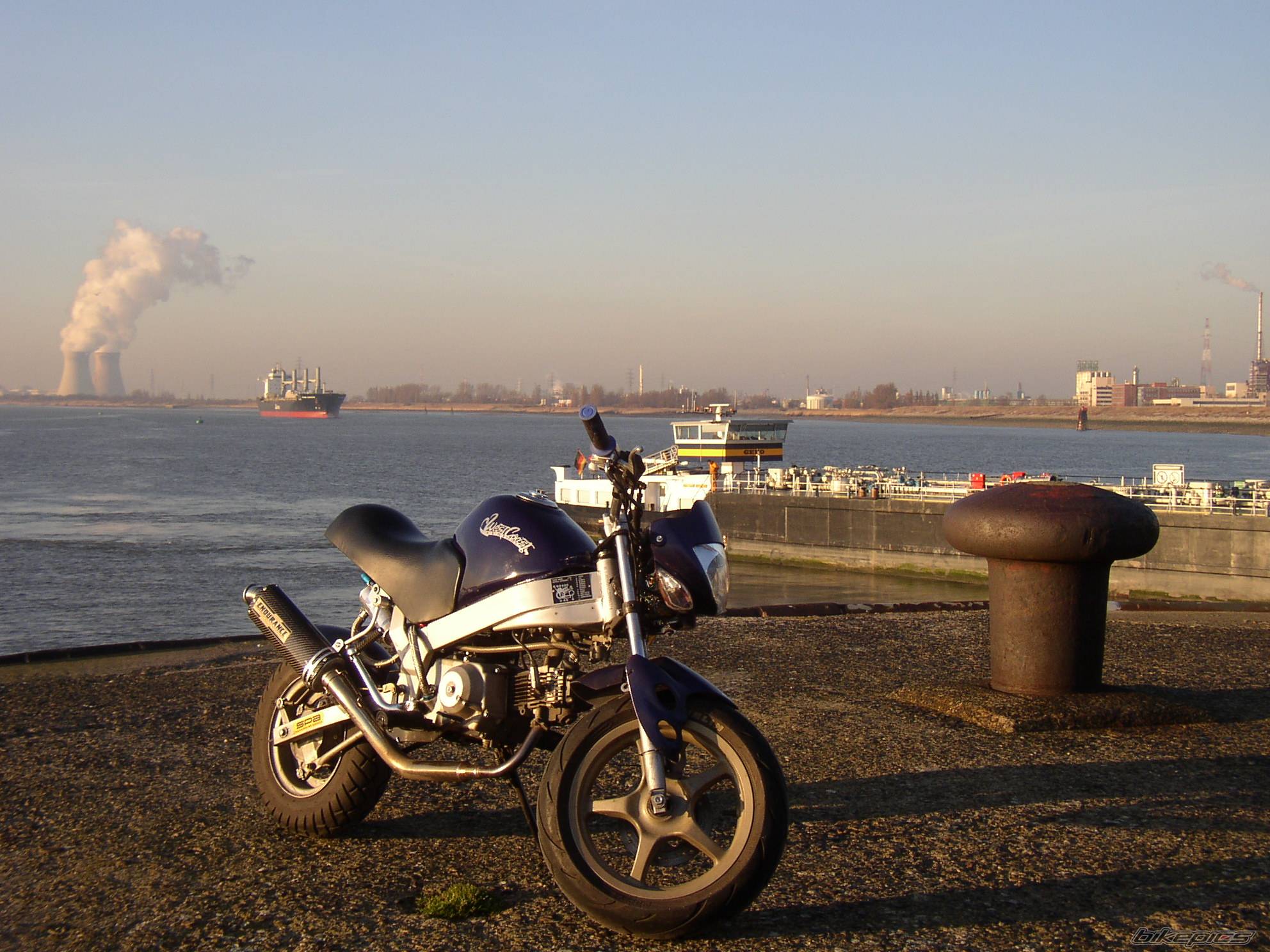 Photo 295242