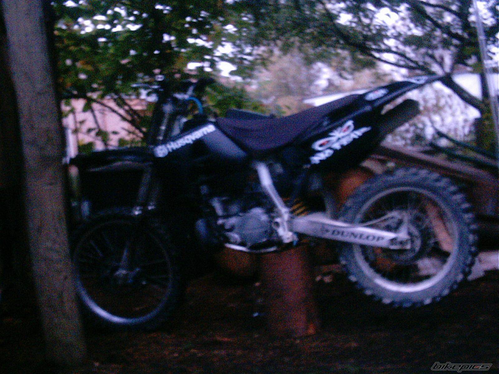 Photo 295272