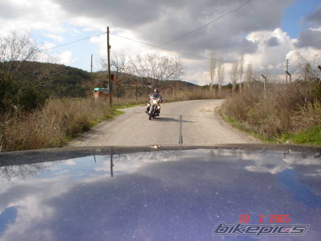 Photo 295273