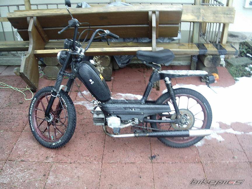 Photo 295276