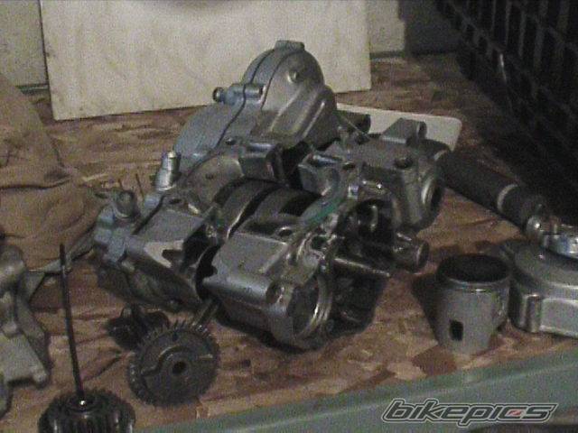 Photo 295312
