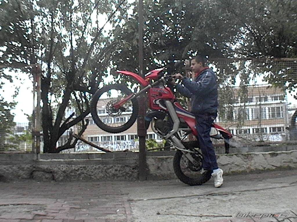 Bike Photo 295316
