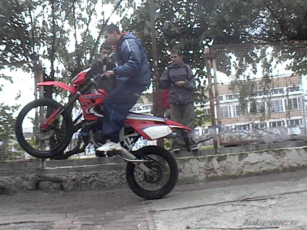 Bike Photo 295319
