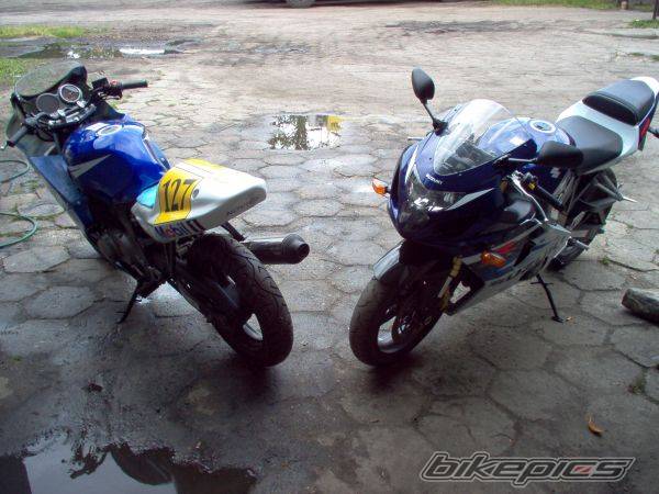 Photo 295321