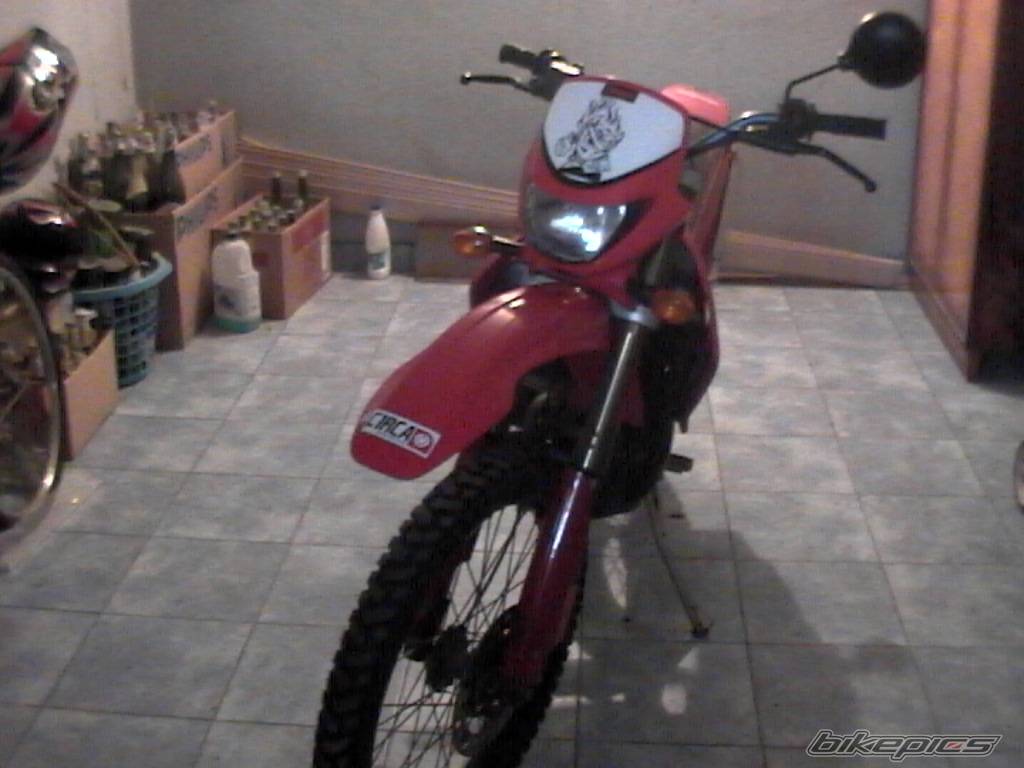 Photo 295324