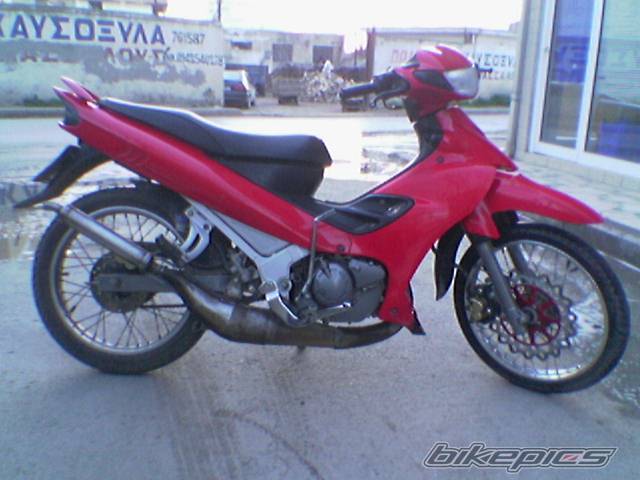 Photo 295346