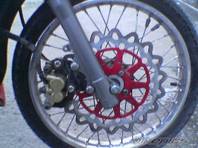 Photo 295348