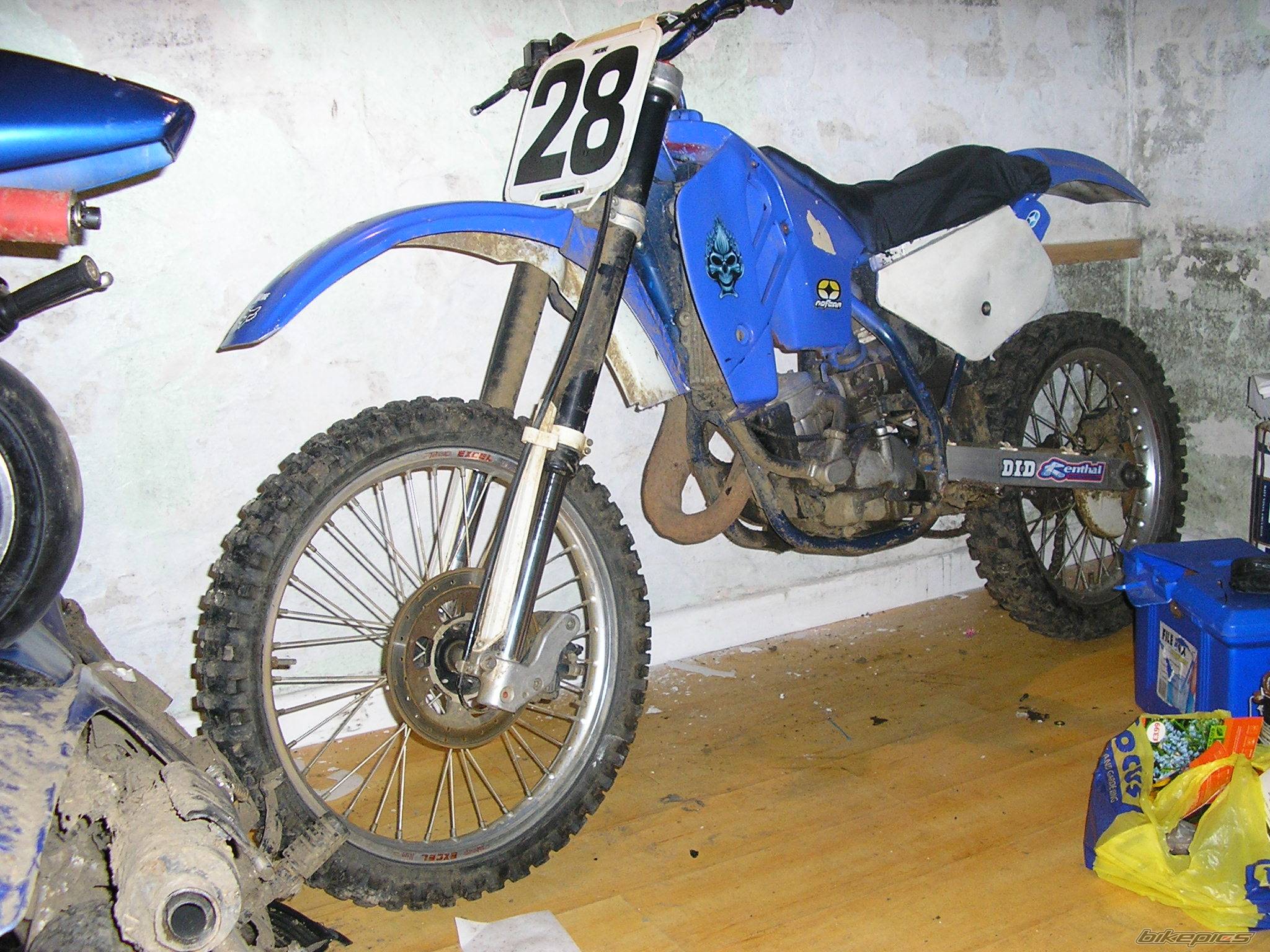 Photo 295375
