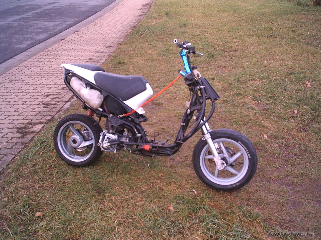 Photo 295386