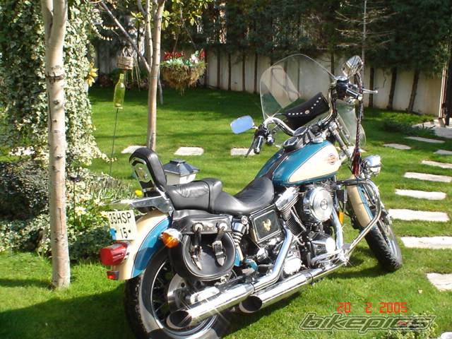Photo 295390