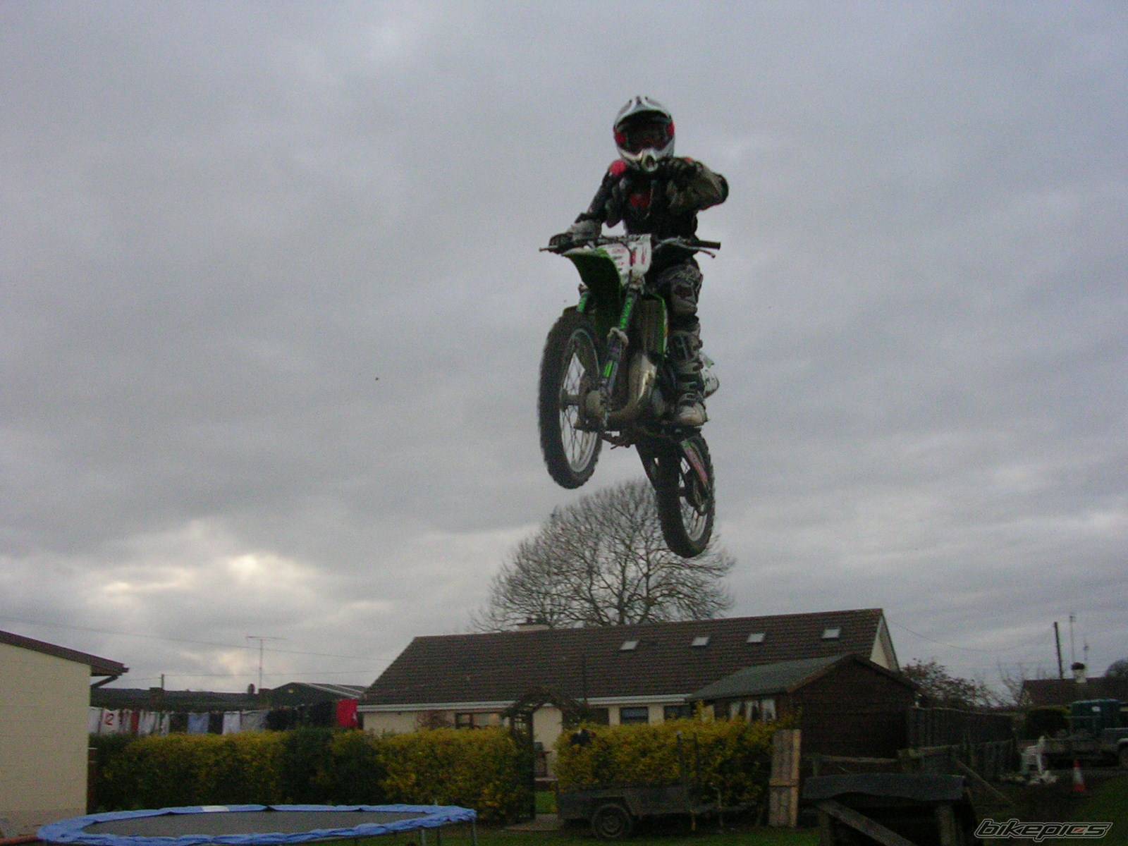 Photo 295402