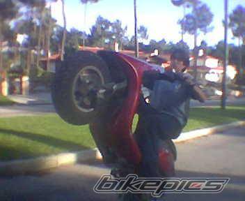 Bike Photo 295404