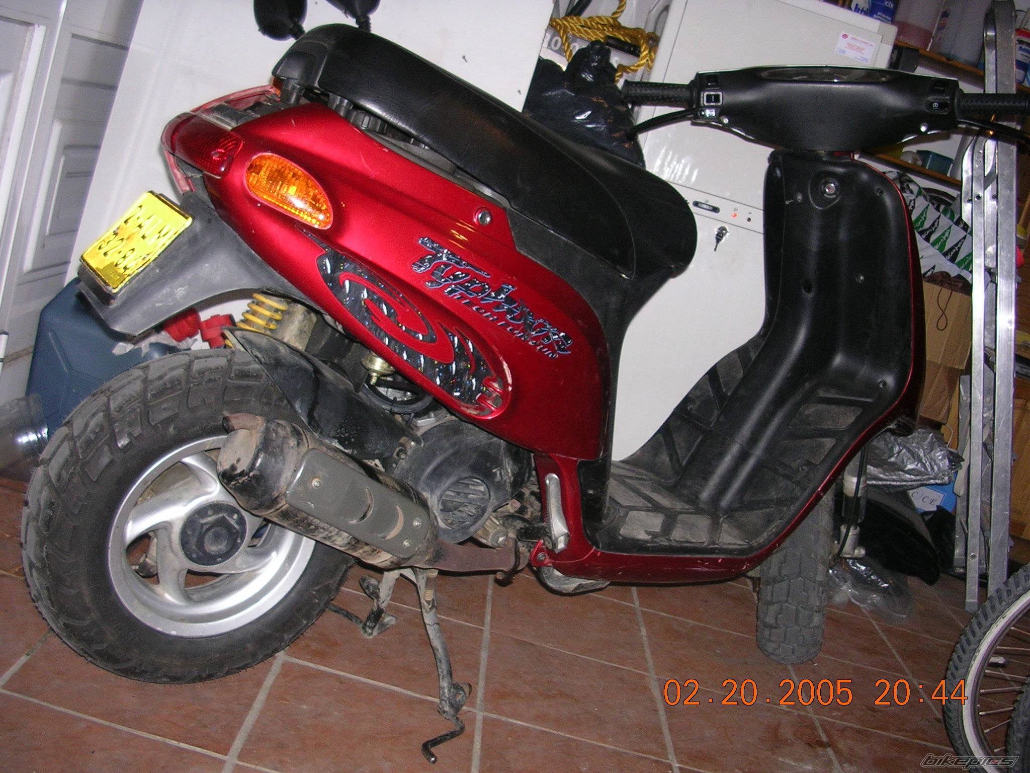 Photo 295411