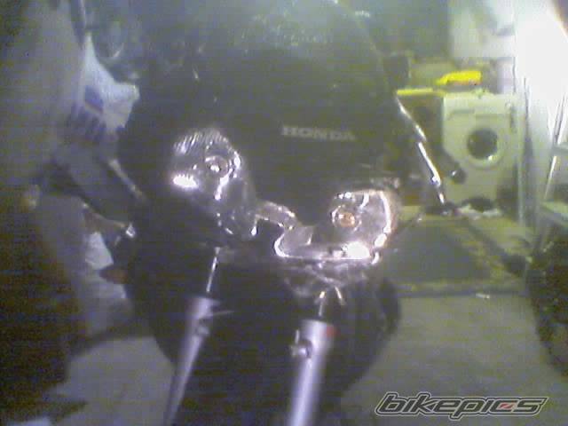 Photo 295426