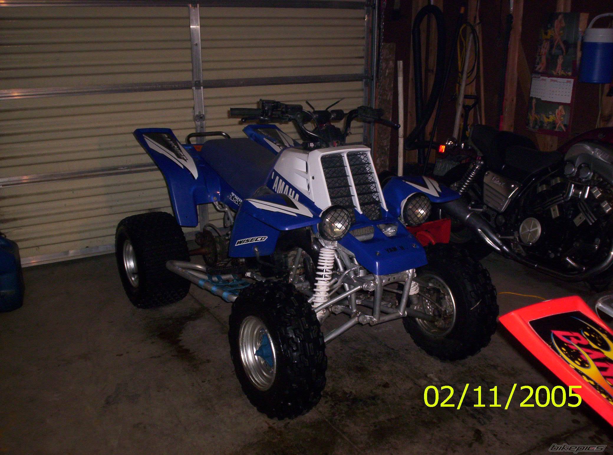 Photo 295439