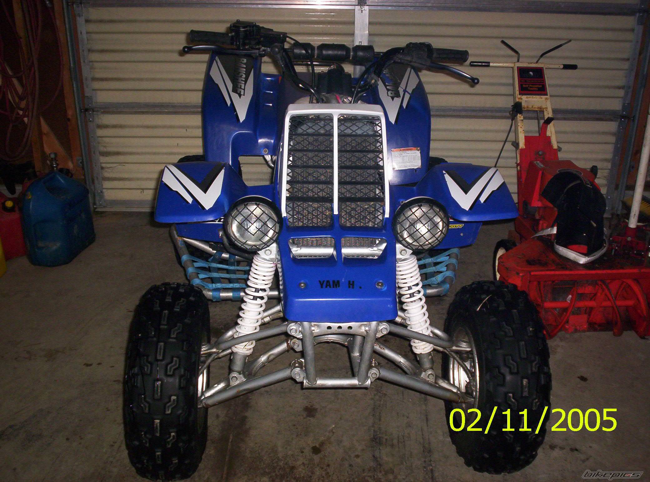 Photo 295441