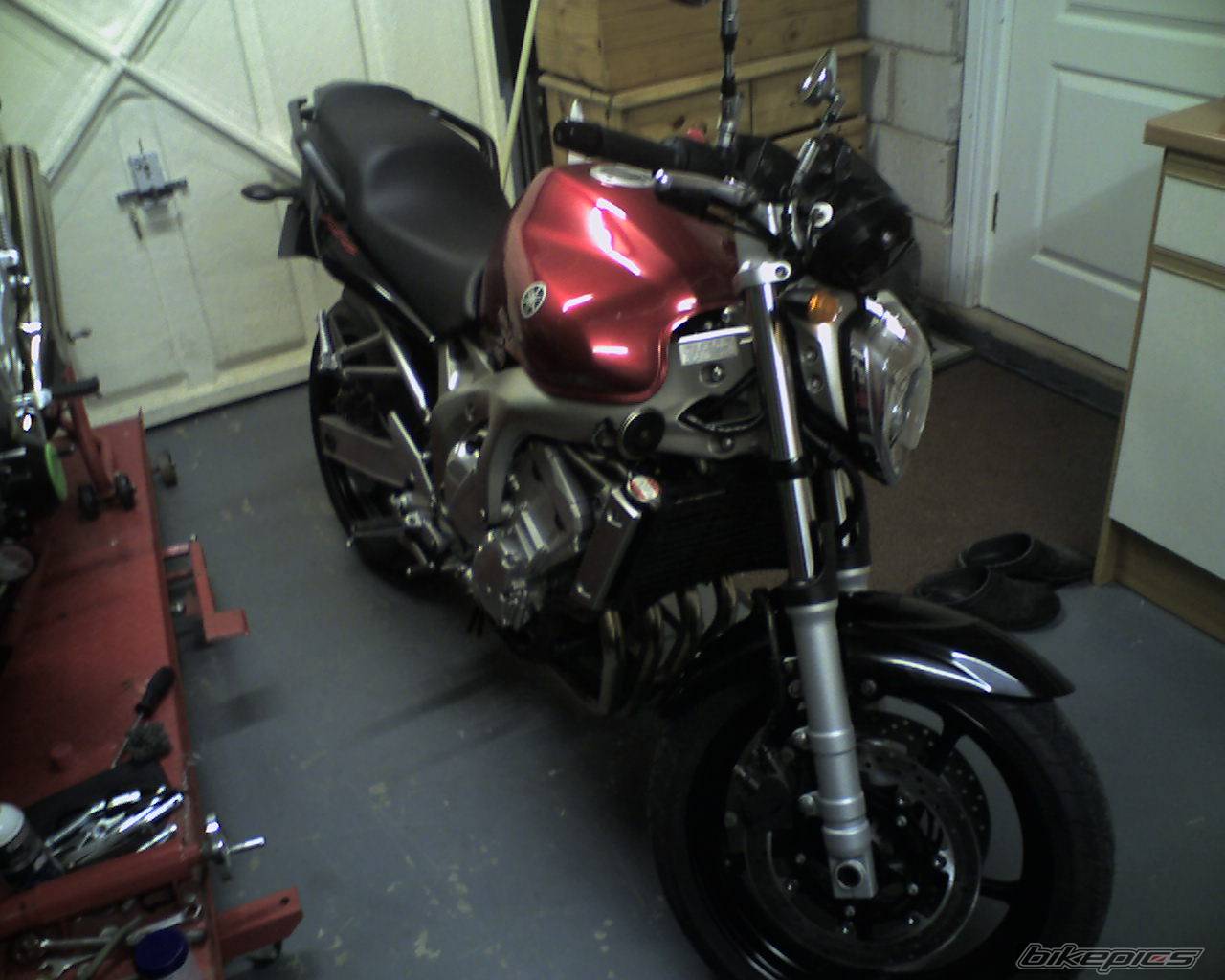 Photo 295444