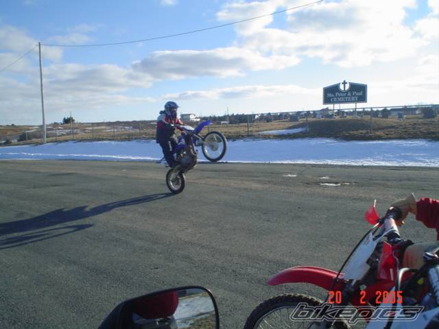 Photo 295446