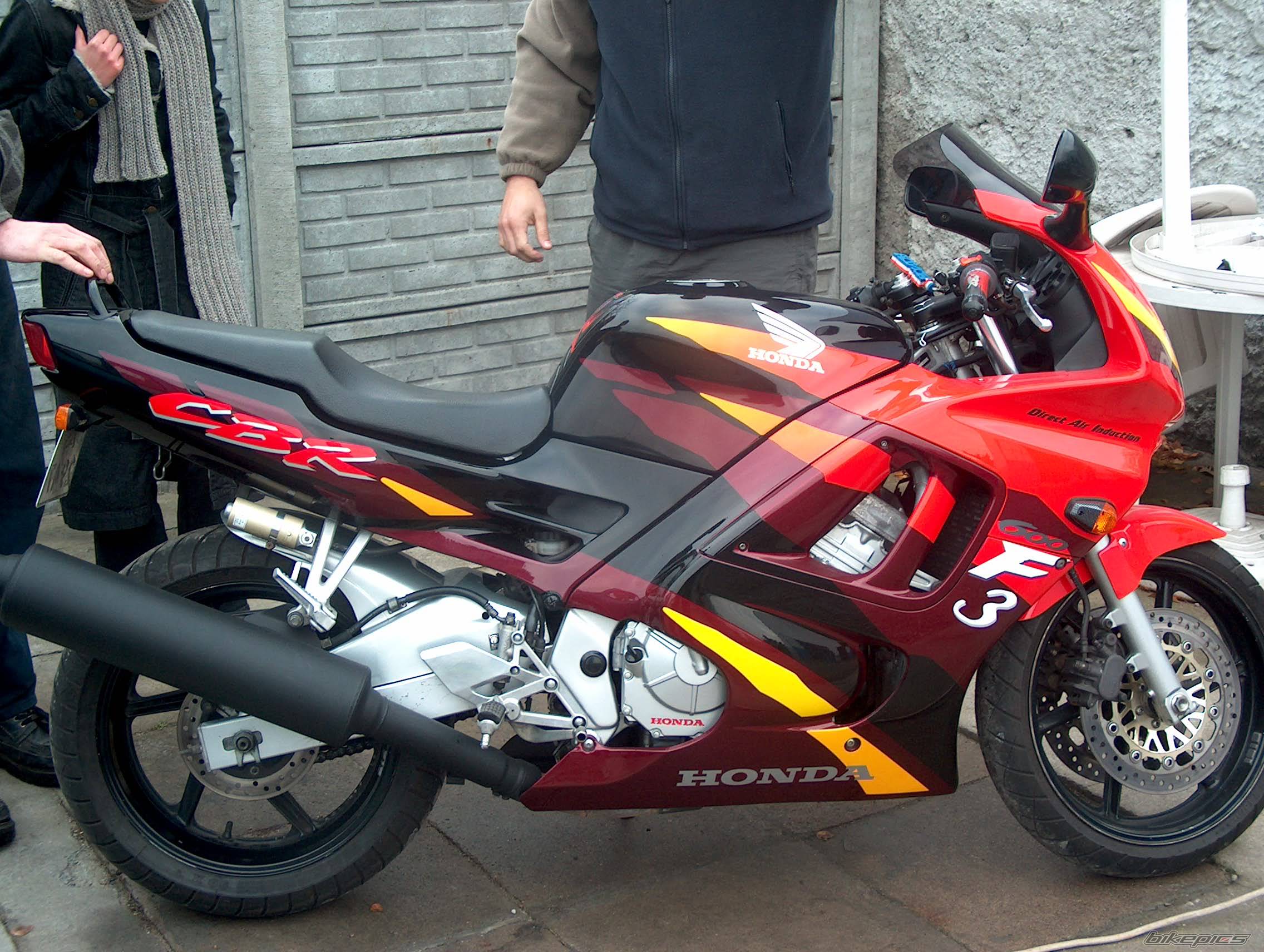 Photo 295479